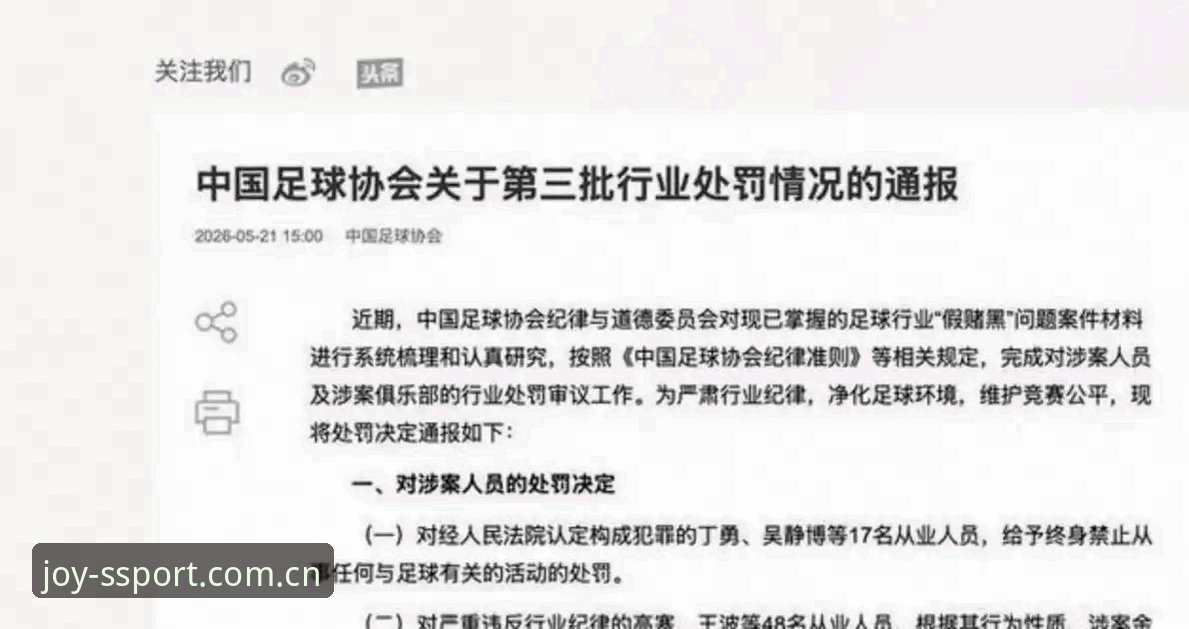 足协第三批禁足名单详解：65人受罚，终身禁赛17人